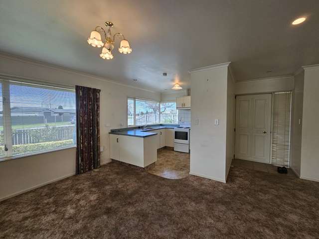 17 Lansdowne Street Mayfield_3