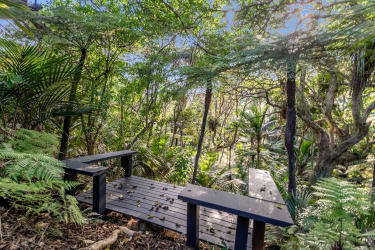 23 Punga Place Whitianga_32