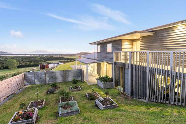 273 Takatu Road Tawharanui Peninsula_31