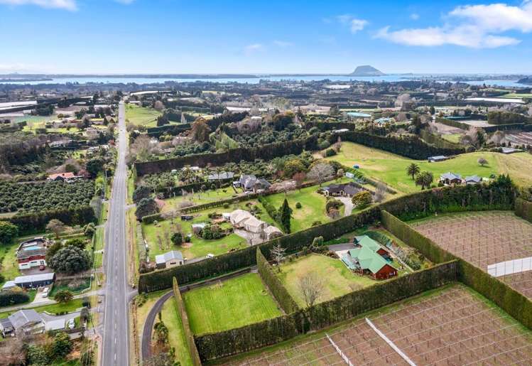 34 Snodgrass Road Te Puna_22