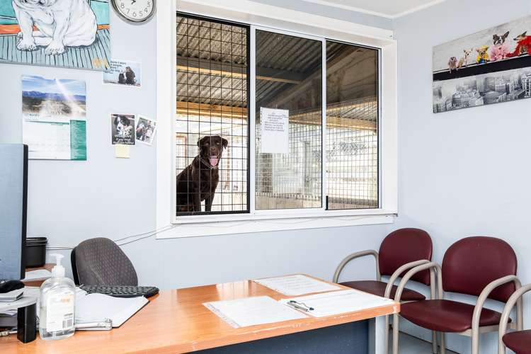 251 Fletcher Road Milton_7