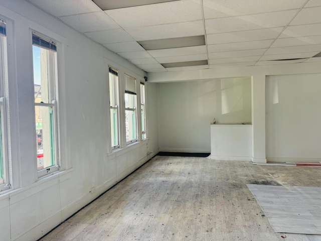 327C Dominion Road Mount Eden North_3