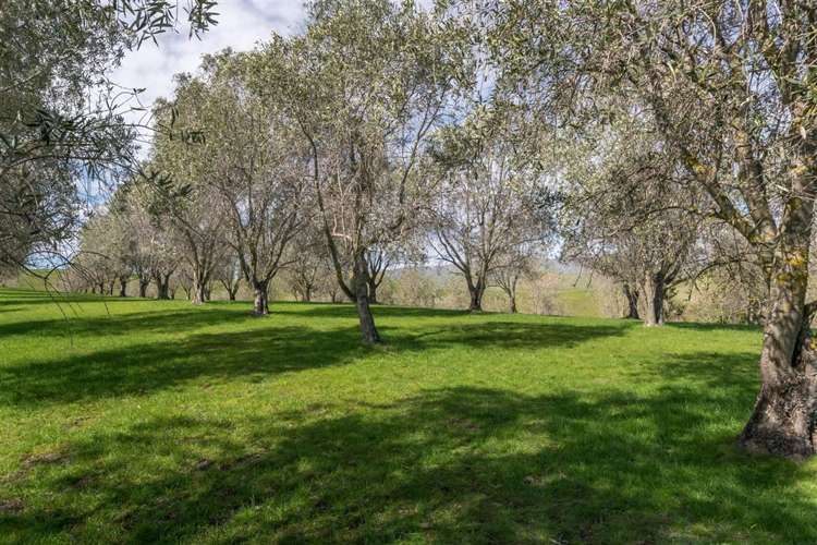 237 Brookby Road Hawkesbury_13