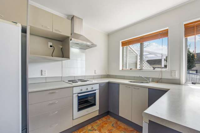 45 Fergusson Street Stoke_4