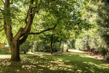 6 Sedgemoor Lane, RD 2_1