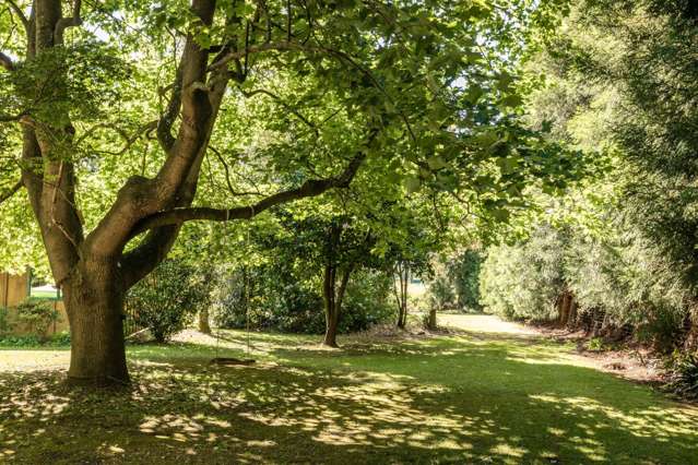 6 Sedgemoor Lane, RD 2 Katikati_2