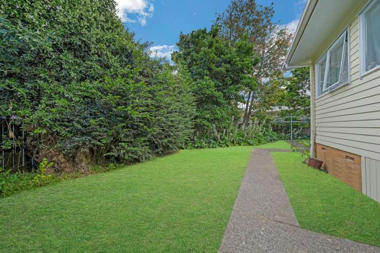 65 Orchard Street Avondale_11