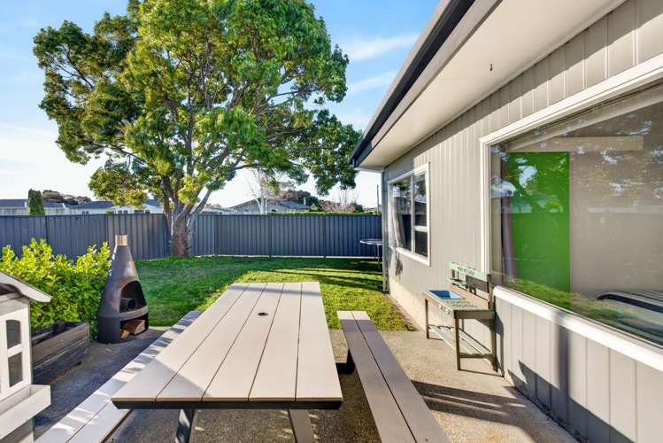1 Arney Street Tamatea_15