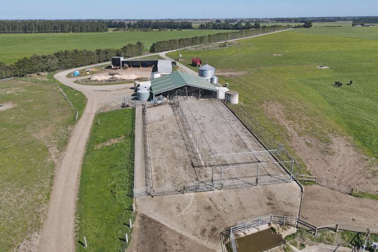 729 Terrace Road Bankside_19