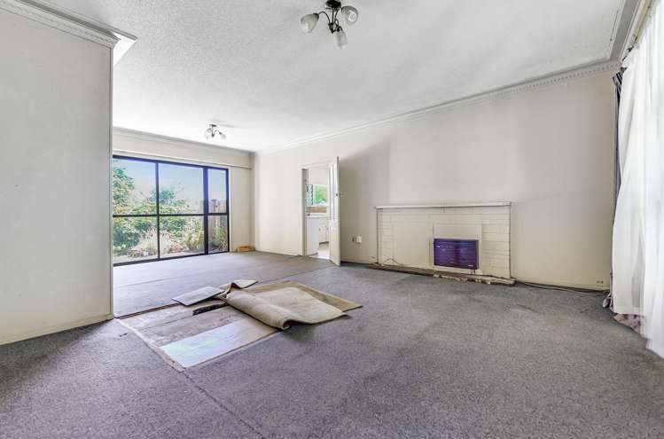 86 Ellicott Road Nawton_15