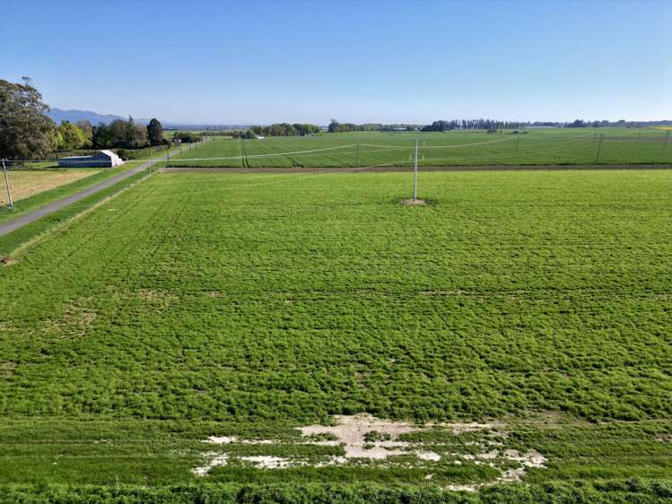 Willowbridge Road Waimate_13