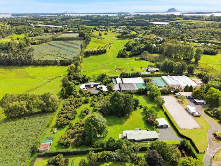 52E Loop Road Te Puna_44