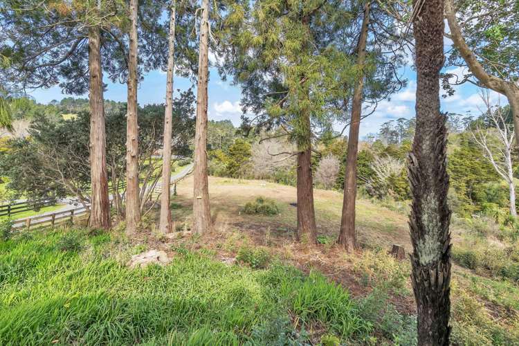 26 Dashper Drive Warkworth_20