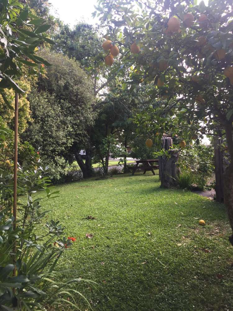 2 Barakat Place Ngaruawahia_2