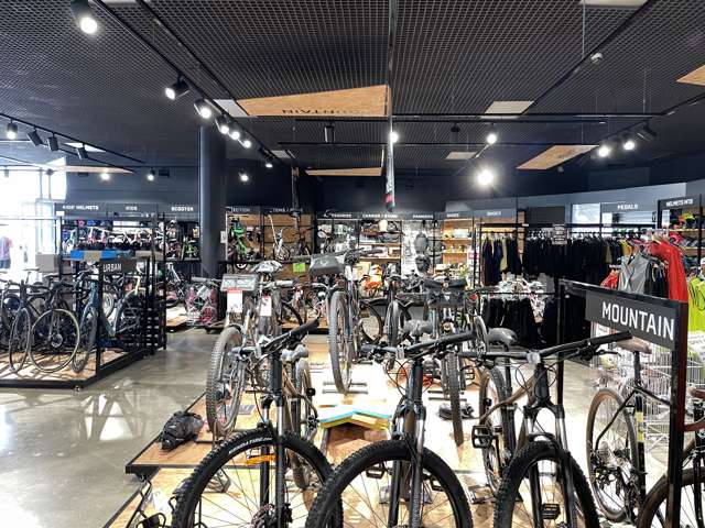 Ground/181 Vivian Street Te Aro_4