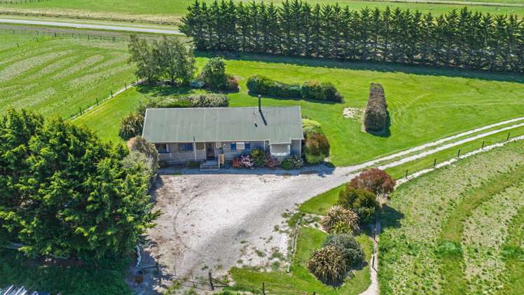 36 Seddon Street Ward_16