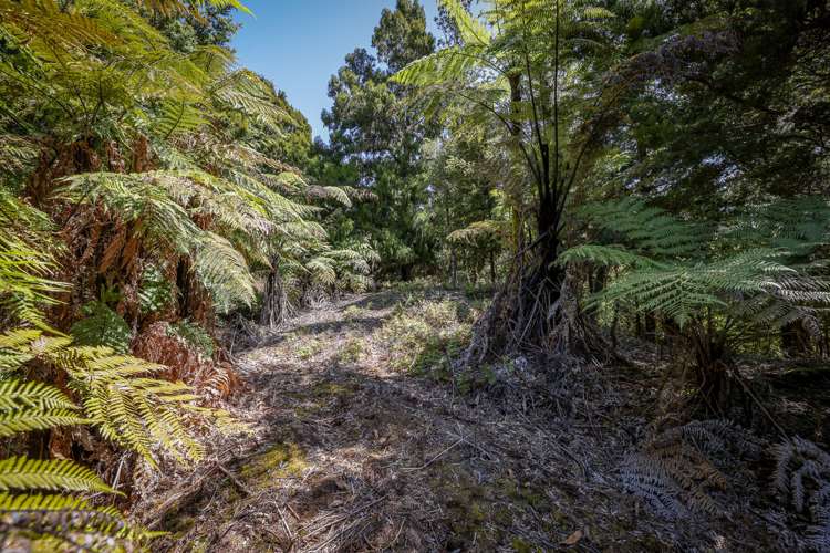 412 Bromley Road Otorohanga_22