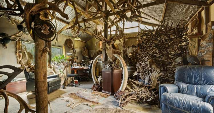 Lot 1 Anakoha Bay Marlborough Sounds_27