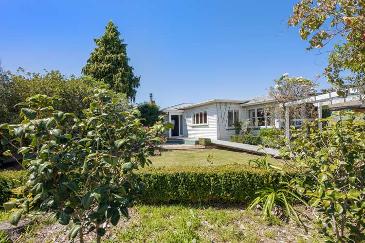 135 Howick Road Redwoodtown_18