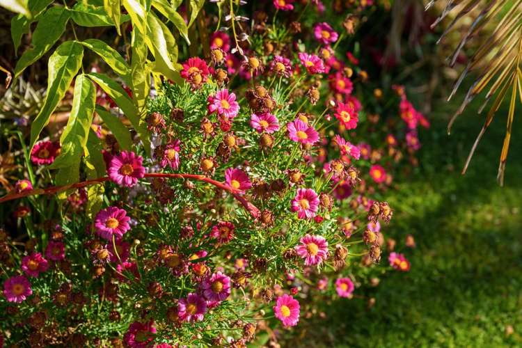 176 Valley Road Mount Maunganui_22