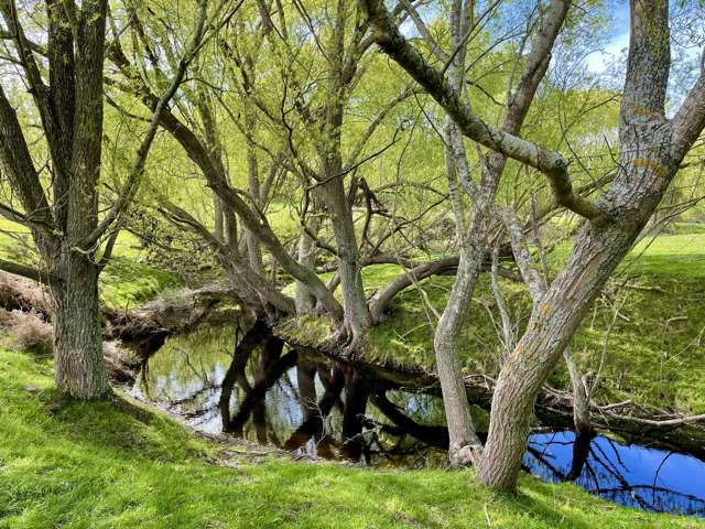 lot 3 Maytown Road Waimate_2