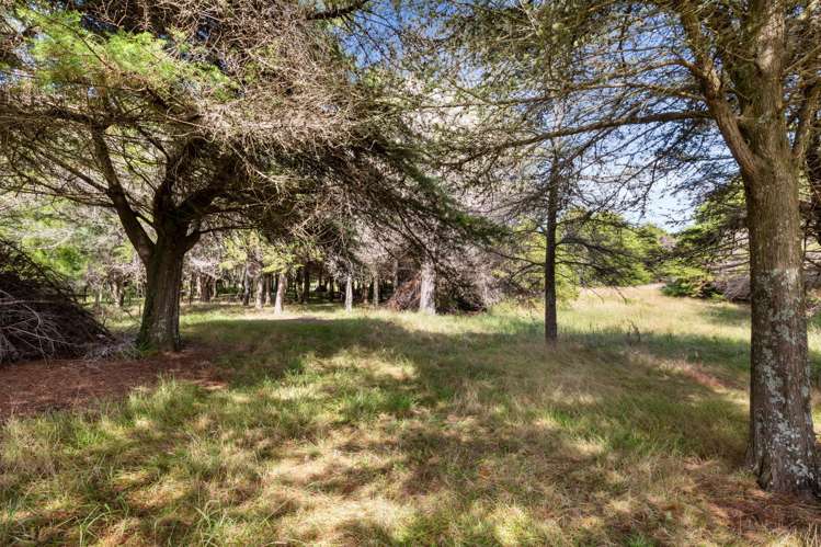 347a Black Swamp Road Mangawhai_22