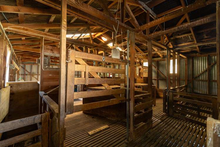 281 Tadmor Valley Road Tapawera_19