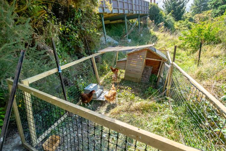 76 Koremata Street Green Island_31