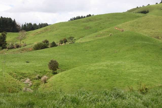 546 Maratoto Road Hikutaia_4