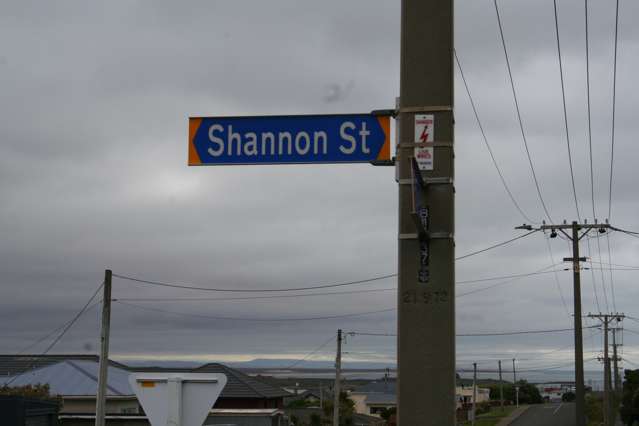 81 Shannon Street Bluff_2