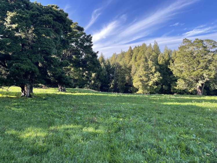 527 Whatitiri Road Poroti_16