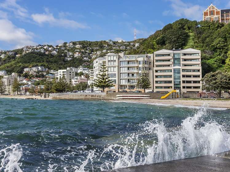 3b/172 Oriental Parade Oriental Bay_32