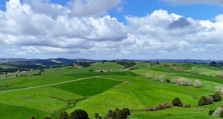 77 Parker Road Wellsford_18