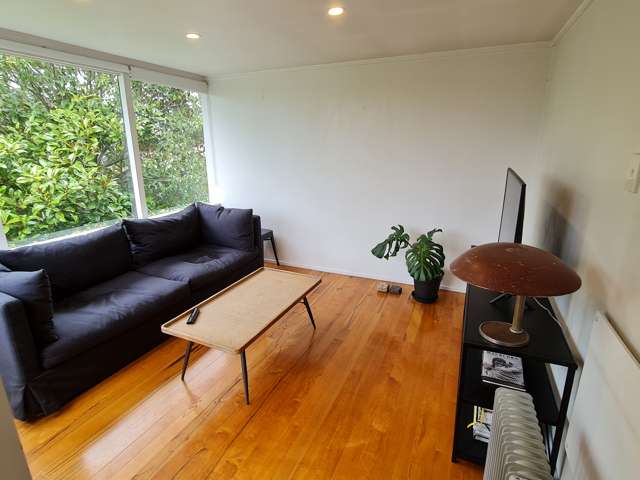 89c Lucerne Road Remuera_3