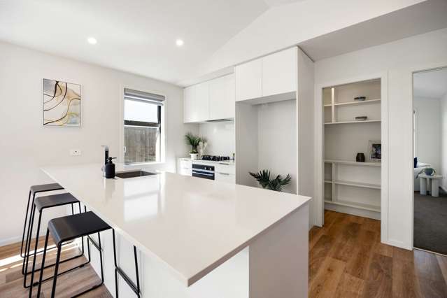 19 Guillaume Street Chartwell_1