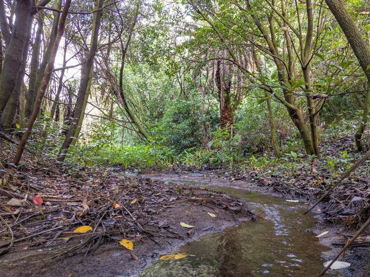 12 Oceana Drive Welcome Bay_11