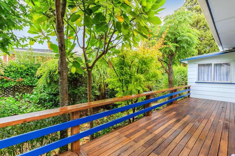 85 Girrahween Drive Totara Vale_5