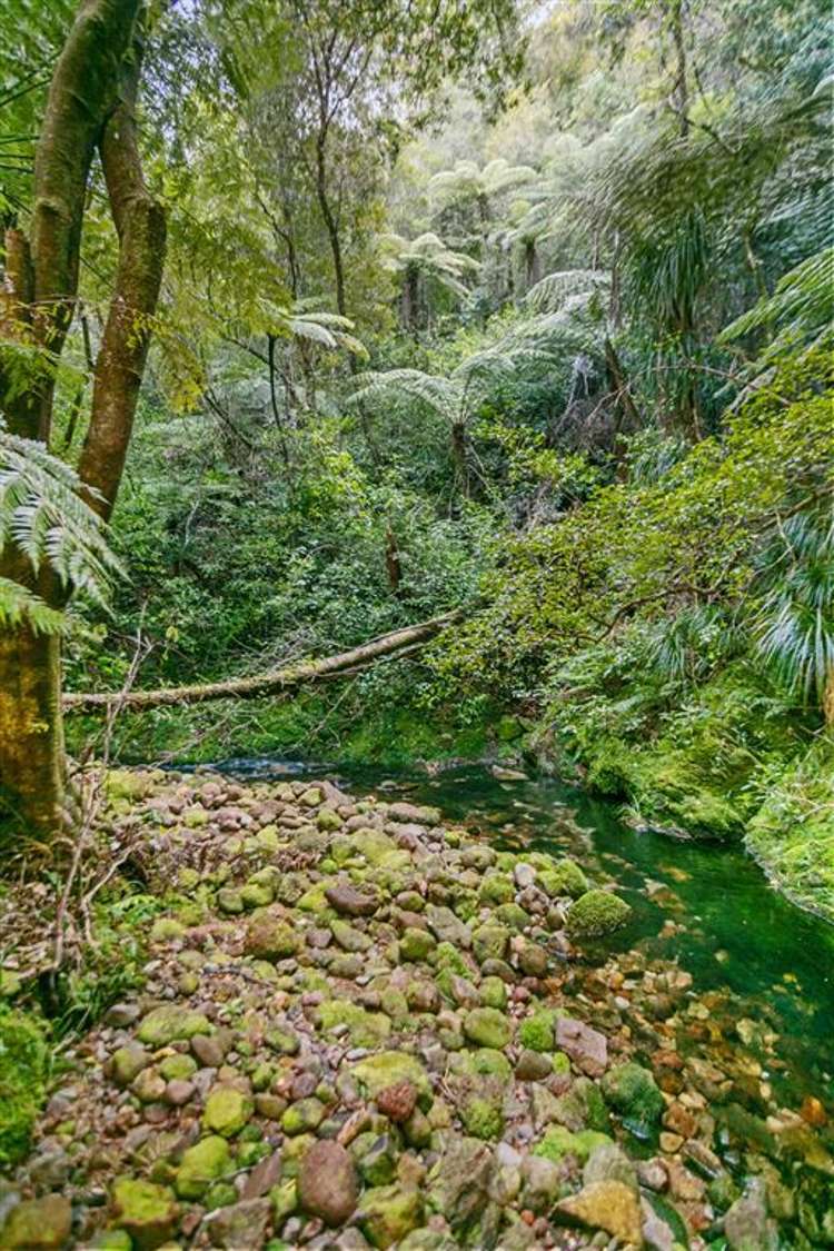 232 Hikuai School Road Hikuai_23