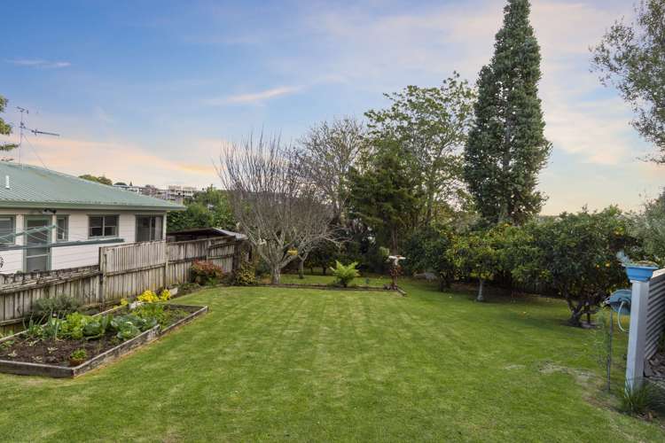 42 Judea Road Judea_11