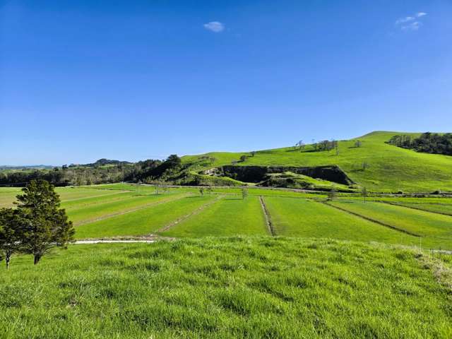 Lot Lot 2/3035 Mititai Road Dargaville_2