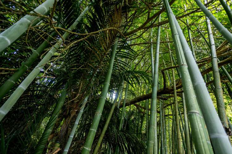 5 Yarborough Street Kohukohu_47