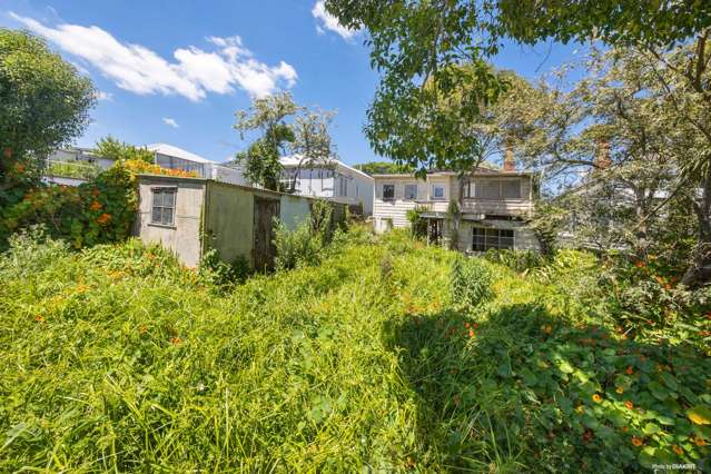 51 First Avenue Kingsland_2