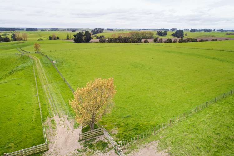 506 Sandon Road Feilding_2