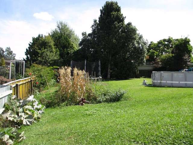 25a Chester Street Levin_1