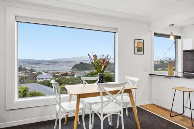 21 Spottiswoode Street Andersons Bay_3
