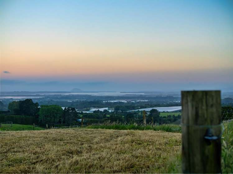 348D Rea Road Katikati_37