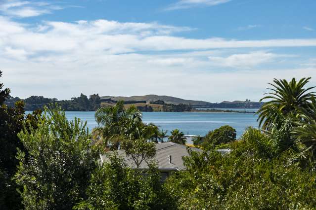 56a Harvey Street Tauranga South_3