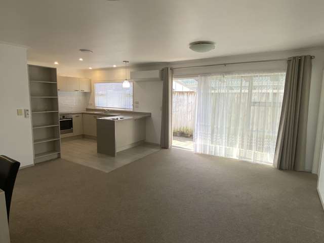 17E Maitland Street Frankton_1