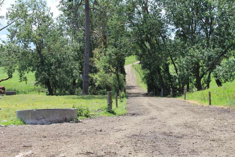 269 Kokopu Block Road Kokopu_12