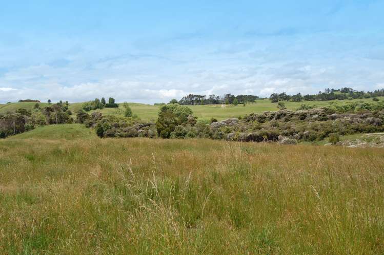 138 Rangiora Road Kaiwaka_11